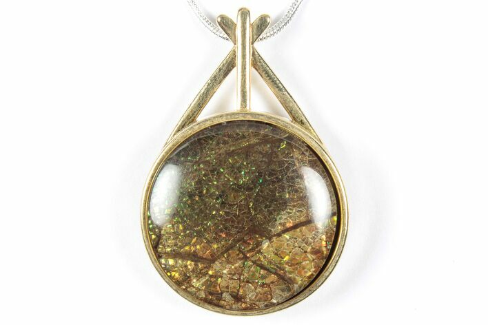 Brilliant Ammolite Pendant (Necklace) - Alberta, Canada #352200